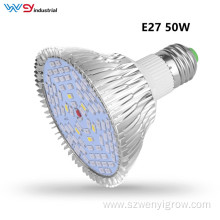 Hot Sale Par30 E27 50W Full Spectrum Bulb